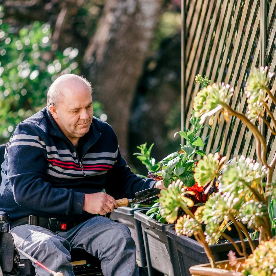 A man in a wheelchair gardening A man in a wheelchair gardening
